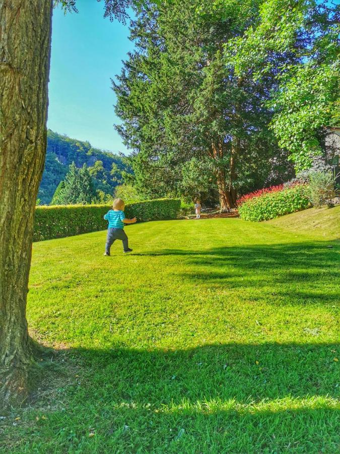 Stunning Symonds Yat Holiday Cottage Екстериор снимка
