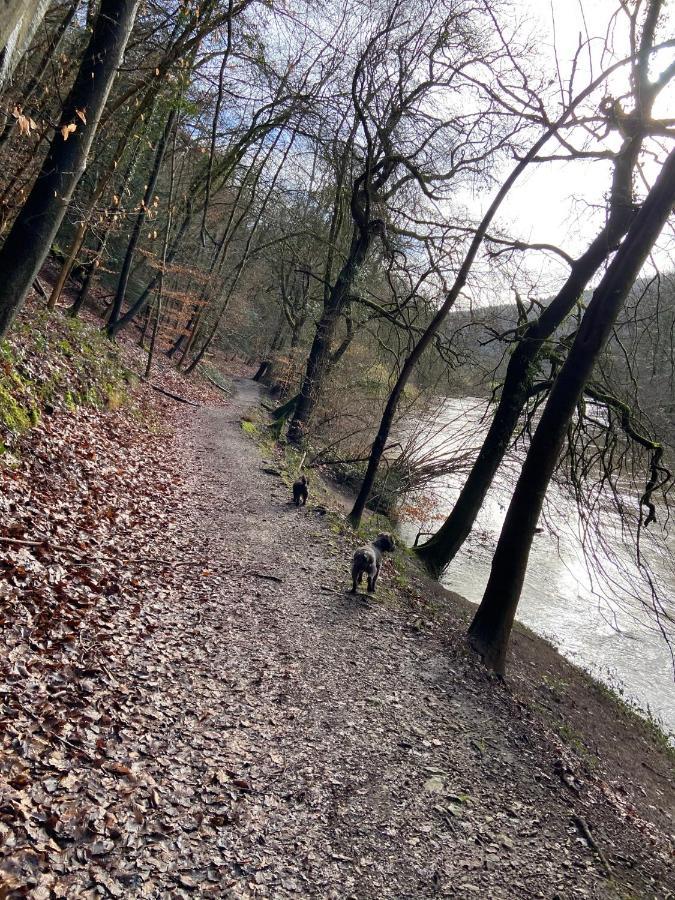 Stunning Symonds Yat Holiday Cottage Екстериор снимка